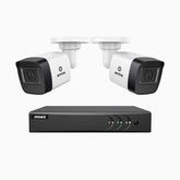 EL200 - Kit videosorveglianza analogica 4 canali con 2 telecamere 1080p, Smart DVR con rilevamento umano e veicoli, visione notturna a infrarossi fino a 66 piedi, segnale di uscita 4-in-1, IP67
