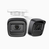 C300 - Kit 2 Telecamere IP PoE da Esterno 3MP 2K, Visione Notturna EXIR 2.0, Rilevamento Movimento, H.265+, Impermeabile IP67