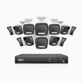 H500P - Kit videosorveglianza PoE 16 canali con 12 telecamera 3K, visione notturna a colori, microfono integrato, IP67, supporta ONVIF e RTSP
