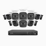H300 - Kit videosorveglianza PoE 16 canali con 12 telecamera 3MP, visione notturna EXIR 2.0, rilevamento del movimento, H.265+, impermeabilità IP67