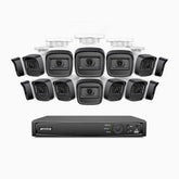 H300 - Kit videosorveglianza PoE 16 canali con 14 telecamera 3MP, visione notturna EXIR 2.0, rilevamento del movimento, H.265+, impermeabilità IP67