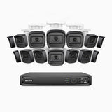 H300 - Kit videosorveglianza PoE 16 canali con 14 telecamera 3MP, visione notturna EXIR 2.0, rilevamento del movimento, H.265+, impermeabilità IP67