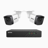 H300 - Kit videosorveglianza PoE 8 canali con 2 telecamera 3MP, visione notturna EXIR 2.0, rilevamento del movimento, H.265+, impermeabilità IP67