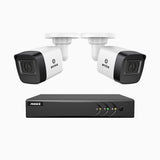 EL200 - Kit videosorveglianza analogica 4 canali con 2 telecamere 1080p, Smart DVR con rilevamento umano e veicoli, visione notturna a infrarossi fino a 66 piedi, segnale di uscita 4-in-1, IP67