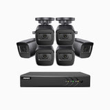 EL200 - Kit videosorveglianza analogica 8 canali con 6 telecamere 1080p, Smart DVR con rilevamento umano e veicoli, visione notturna a infrarossi fino a 66 piedi, segnale di uscita 4-in-1, IP67