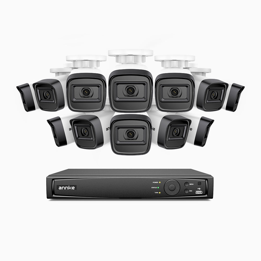 H300 - Kit videosorveglianza PoE 16 canali con 12 telecamera 3MP, visione notturna EXIR 2.0, rilevamento del movimento, H.265+, impermeabilità IP67