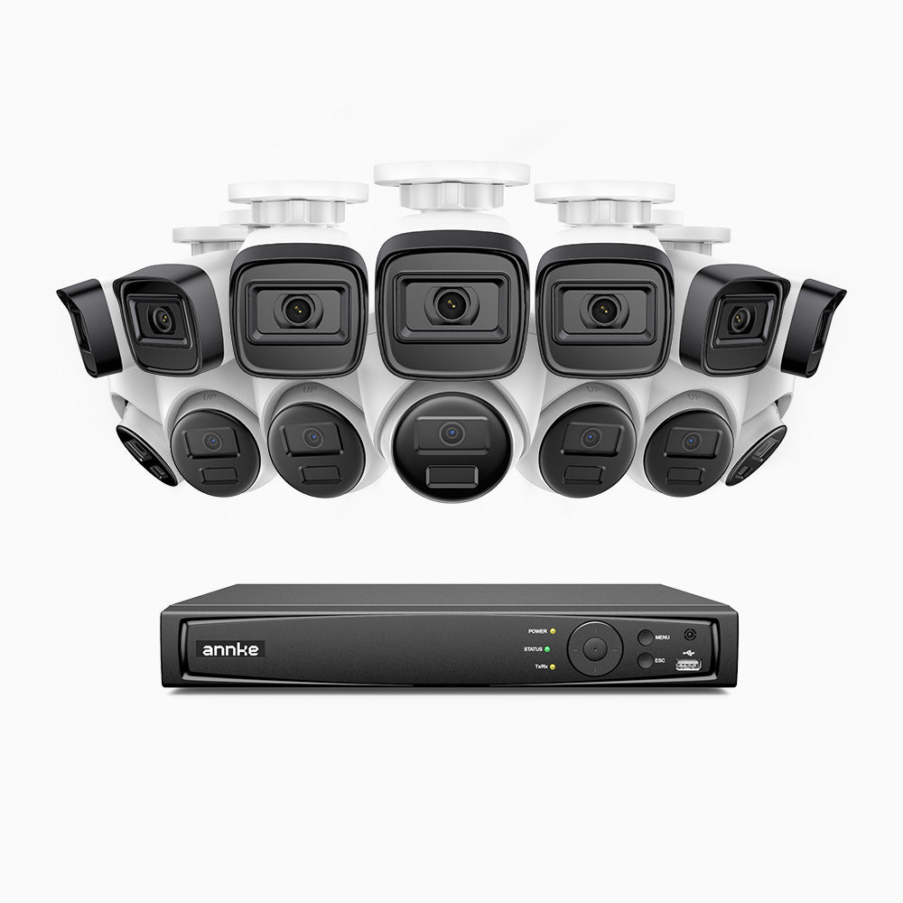 H300 - Kit videosorveglianza PoE 16 canali 3MP, 7 telecamera bullet e 7 telecamera turret,  visione notturna EXIR 2.0, rilevamento del movimento, H.265+, impermeabilità IP67