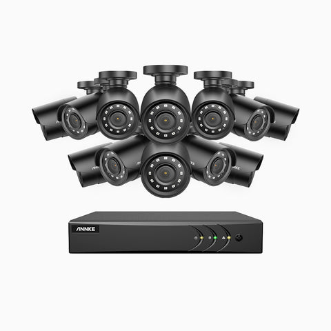 E200 - Kit videosorveglianza analogica 16 canali con 12 telecamere 1080p, H.265+ Smart DVR con rilevamento di veicoli e umani, Visione notturna Infrarossi, IP66, WDR digitale